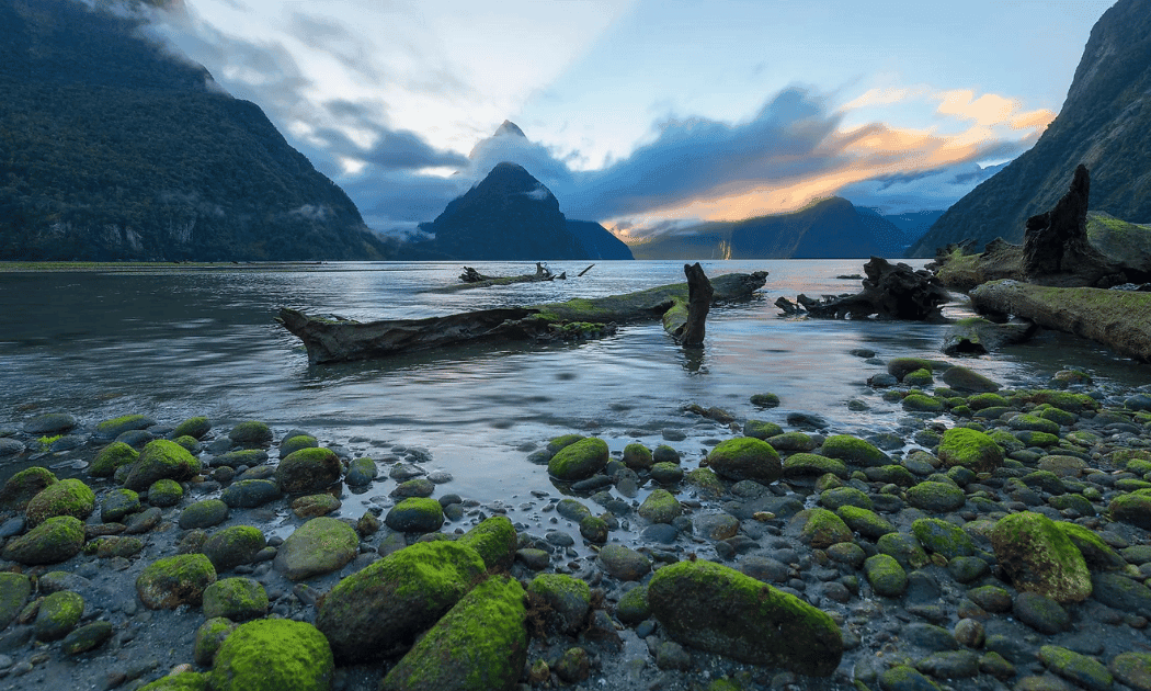 Fiordland National Park, New Zealand Fiordland National Park, New Zealand