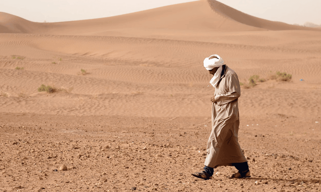 Saharan desert trek