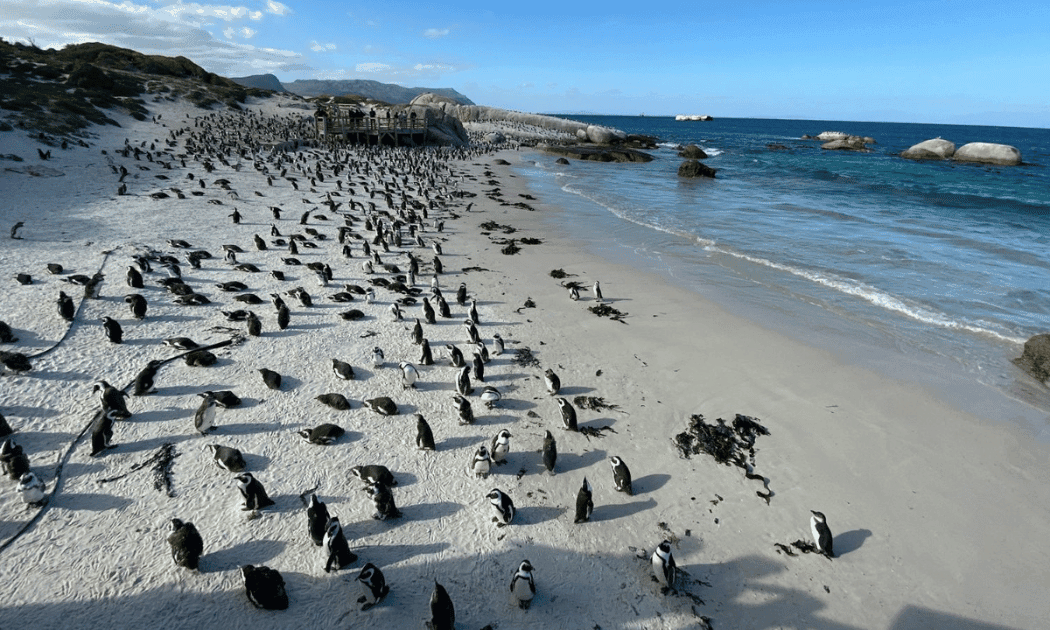 Tropical beach with white sand and turquoise waters Tropical beach with white sand and turquoise waters