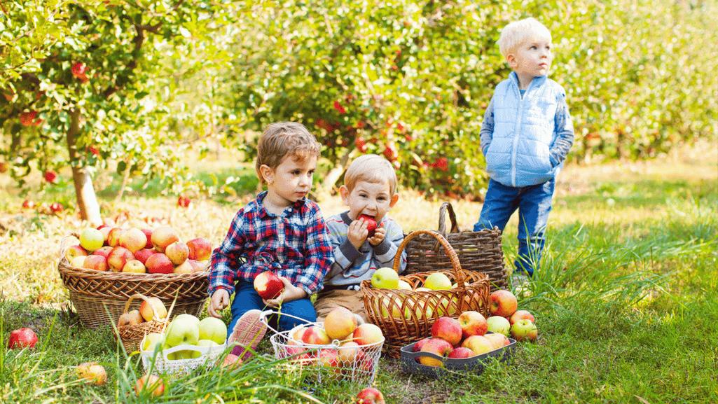 family travel with toddlers in national parks