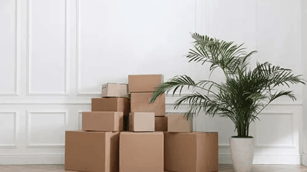 Packing Strategies