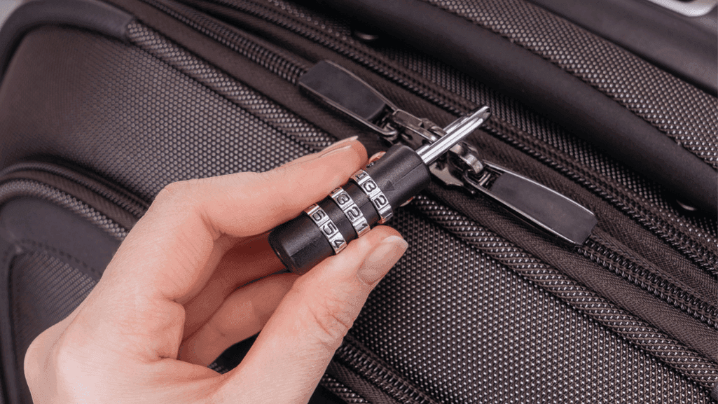 travel security accessories travel security accessories