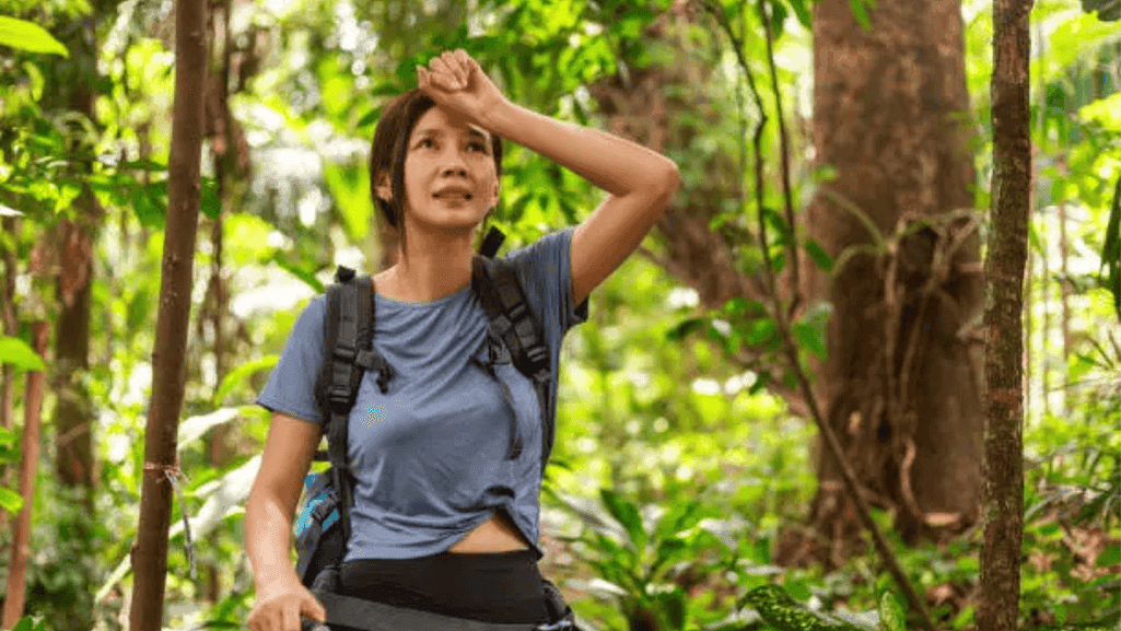 Moisture-wicking fabrics for travel Moisture-wicking fabrics for travel